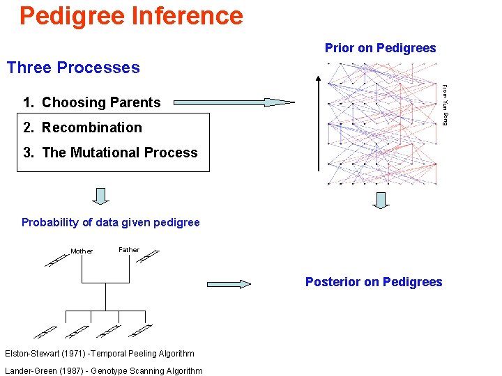 Pedigree Inference Prior on Pedigrees Three Processes 2. Recombination From Yun Song 1. Choosing