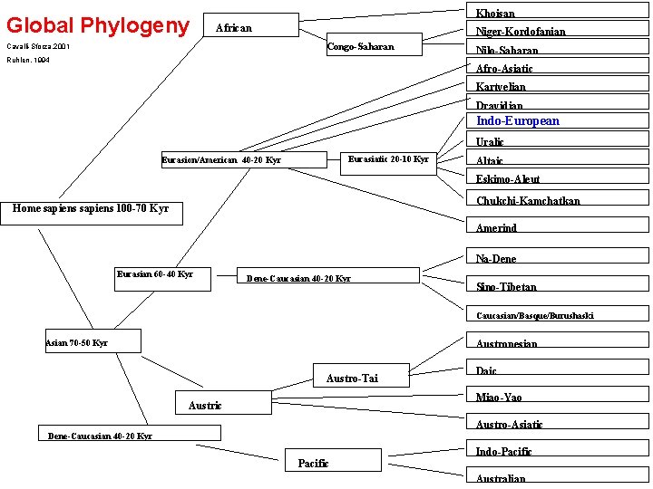 Global Phylogeny Khoisan African Niger-Kordofanian Congo-Saharan Cavalli-Sforza, 2001 Ruhlen, 1994 Nilo-Saharan Afro-Asiatic Kartvelian Dravidian