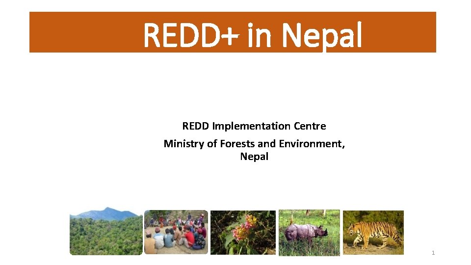 REDD+ in Nepal REDD Implementation Centre Ministry of Forests and Environment, Nepal 1 