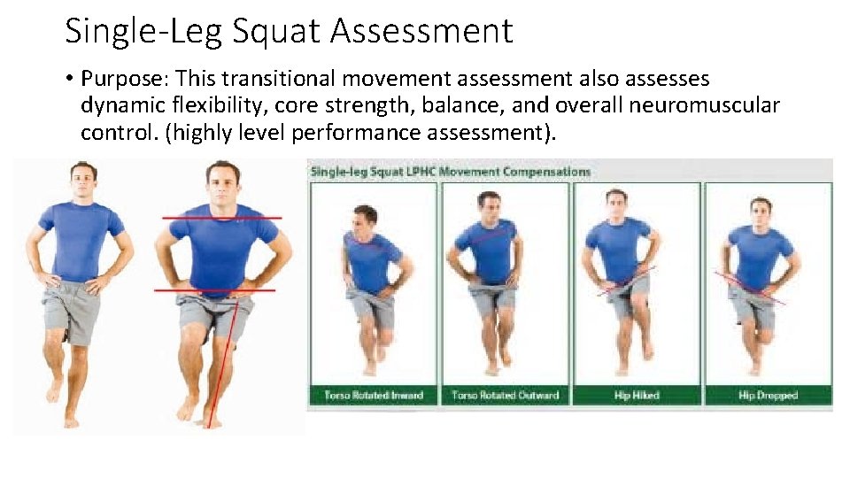 Single-Leg Squat Assessment • Purpose: This transitional movement assessment also assesses dynamic flexibility, core
