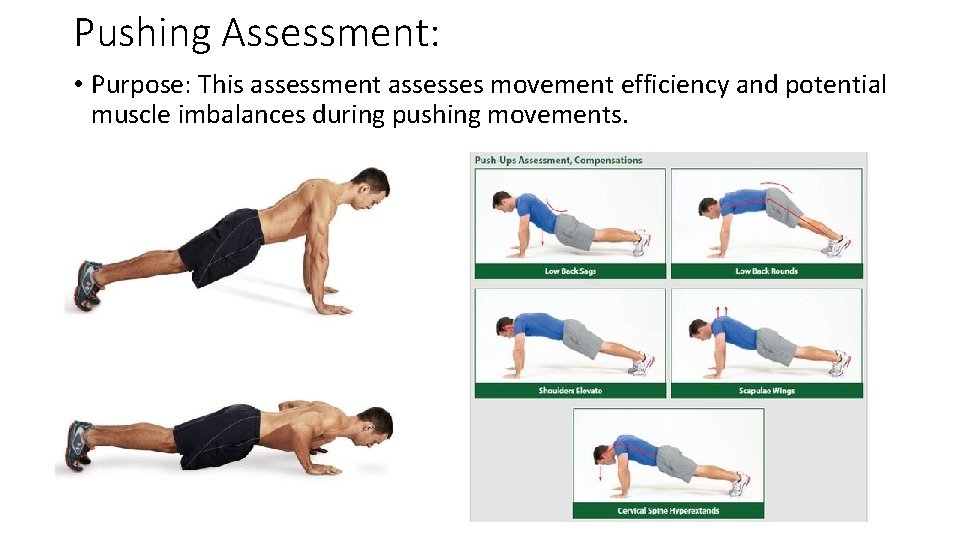 Pushing Assessment: • Purpose: This assessment assesses movement efficiency and potential muscle imbalances during
