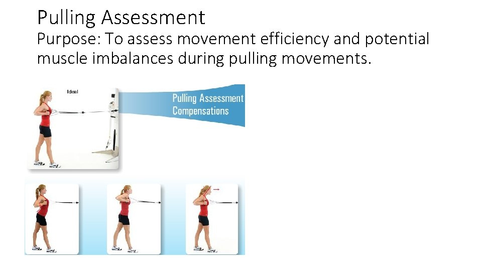 Pulling Assessment Purpose: To assess movement efficiency and potential muscle imbalances during pulling movements.