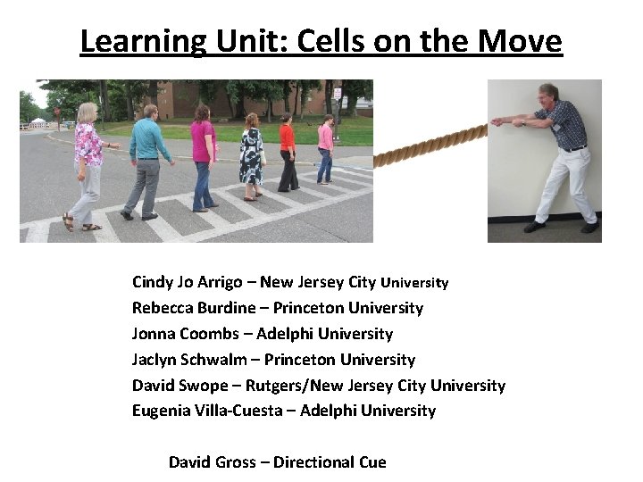Learning Unit: Cells on the Move Cindy Jo Arrigo – New Jersey City University Learning Unit: Cells on the Move Cindy Jo Arrigo – New Jersey City University