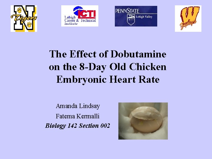 The Effect of Dobutamine on the 8 -Day Old Chicken Embryonic Heart Rate Amanda