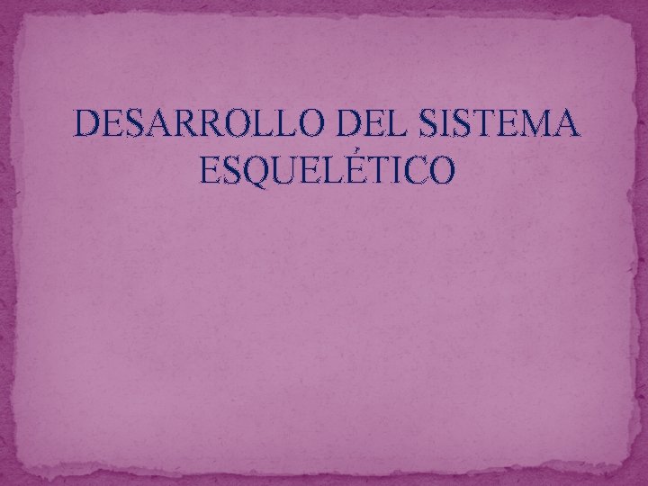DESARROLLO DEL SISTEMA ESQUELÉTICO 