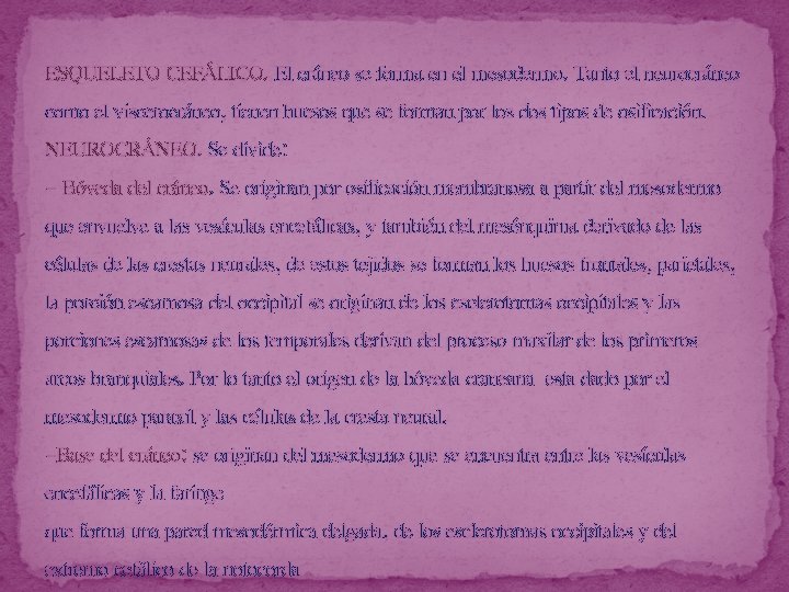 ESQUELETO CEFÁLICO. El cráneo se forma en el mesodermo. Tanto el neurocráneo como el