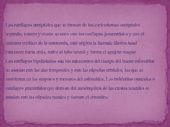 Los cartílagos occipitales que se forman de los esclerotomas occipitales segundo, tercero y cuarto