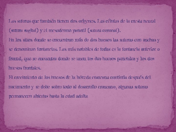 Las suturas que también tienen dos orígenes. Las células de la cresta neural (sutura
