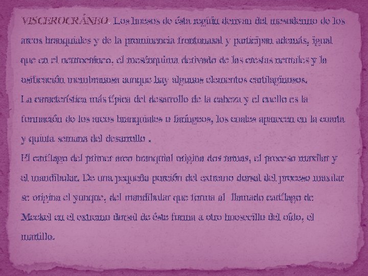 VISCEROCRÁNEO. Los huesos de ésta región derivan del mesodermo de los arcos branquiales y