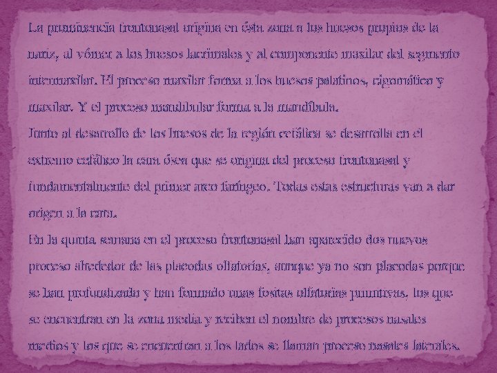 La prominencia frontonasal origina en ésta zona a los huesos propios de la nariz,