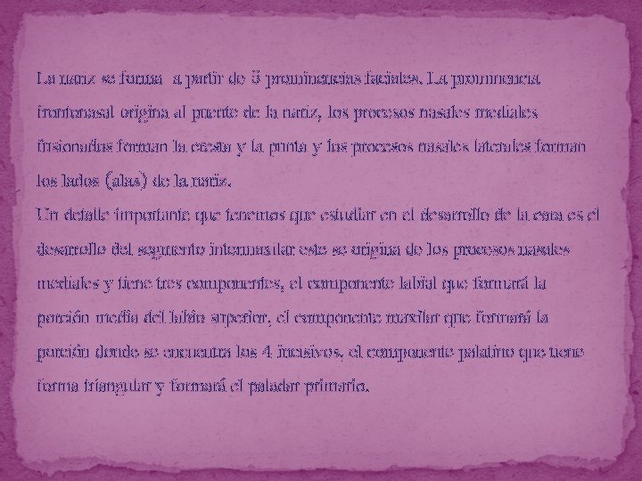 La nariz se forma a partir de 5 prominencias faciales. La prominencia frontonasal origina