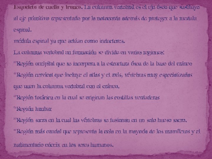 Esqueleto de cuello y tronco. La columna vertebral es el eje óseo que sustituye