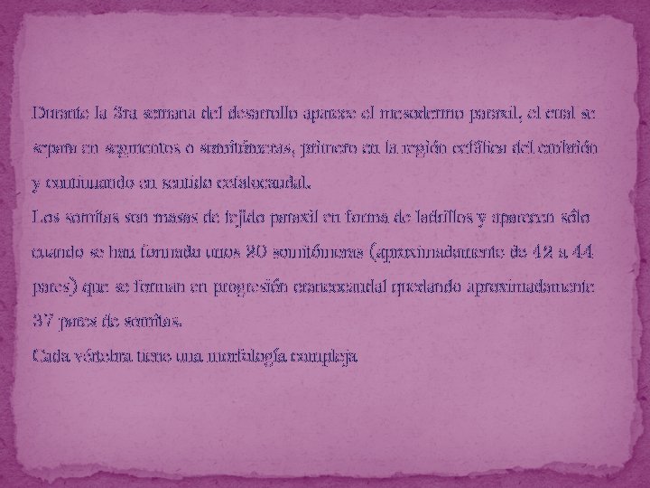 Durante la 3 ra semana del desarrollo aparece el mesodermo paraxil, el cual se