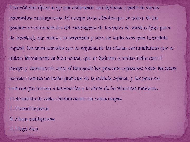 Una vértebra típica surge por osificación cartilaginosa a partir de varios primordios cartilaginosos. El