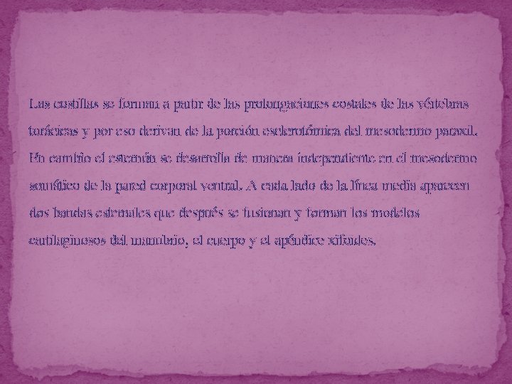 Las costillas se forman a partir de las prolongaciones costales de las vértebras torácicas