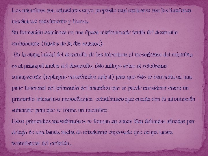 Los miembros son estructuras cuyo propósito casi exclusivo son las funciones mecánicas: movimiento y