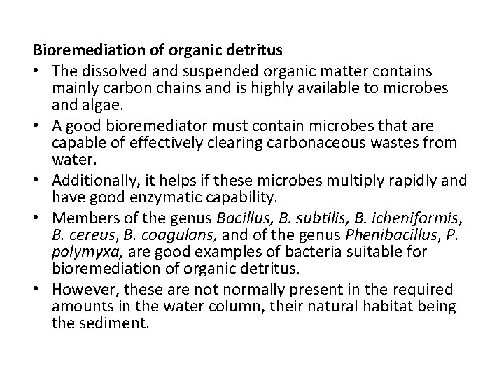 Bioremediation of organic detritus • The dissolved and suspended organic matter contains mainly carbon