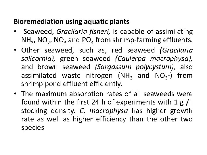 Bioremediation using aquatic plants • Seaweed, Gracilaria fisheri, is capable of assimilating NH 3,