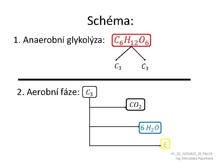 Schéma: • 2. Aerobní fáze: E VY_32_INOVACE_B 1. PAJ. 04 Ing. Bohuslava Pajurková 