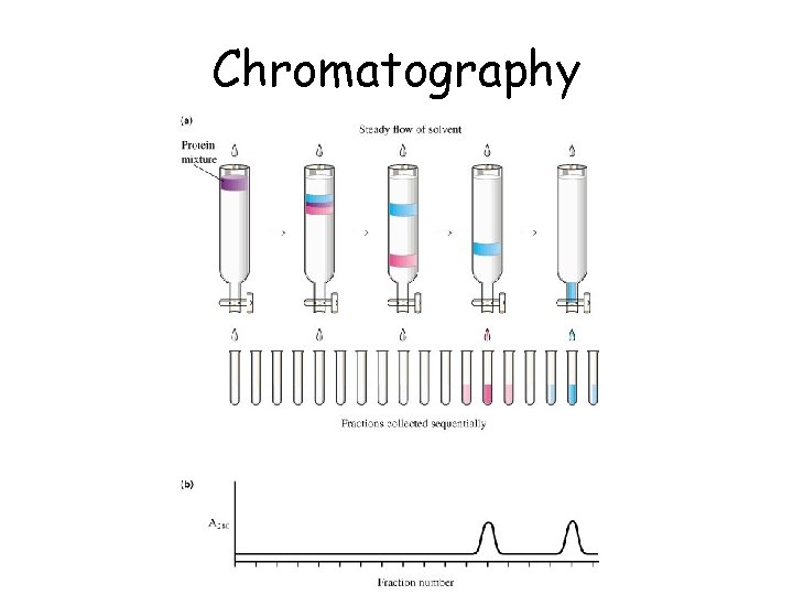 Chromatography 