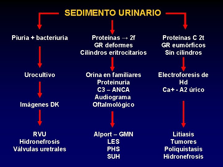 SEDIMENTO URINARIO Piuria + bacteriuria Proteínas → 2 f GR deformes Cilindros eritrocitarios Proteínas