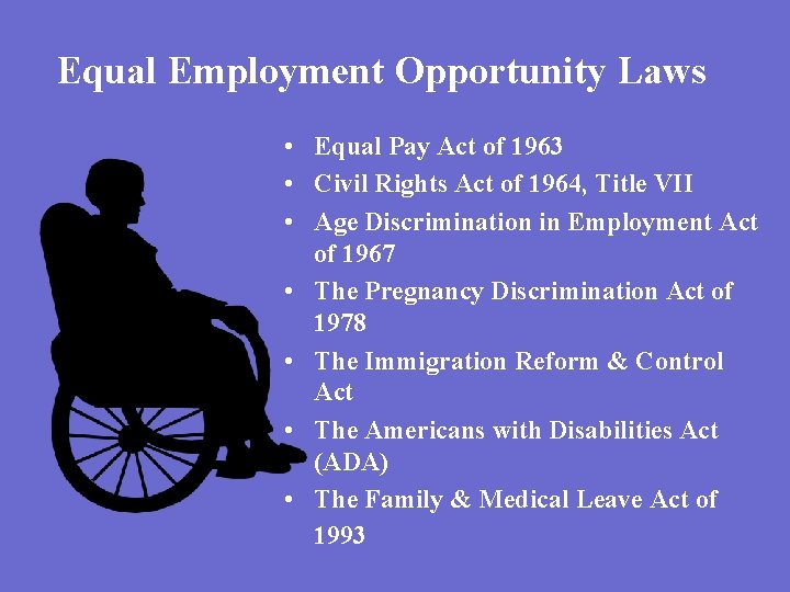 Equal Employment Opportunity Laws • Equal Pay Act of 1963 • Civil Rights Act