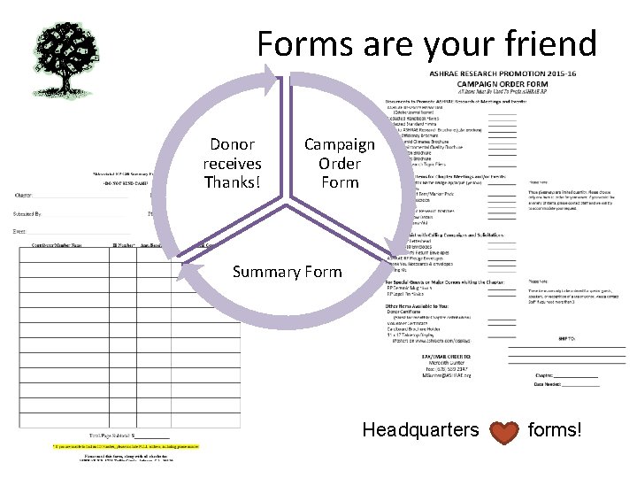Forms are your friend Donor receives Thanks! Campaign Order Form Summary Form Headquarters forms!