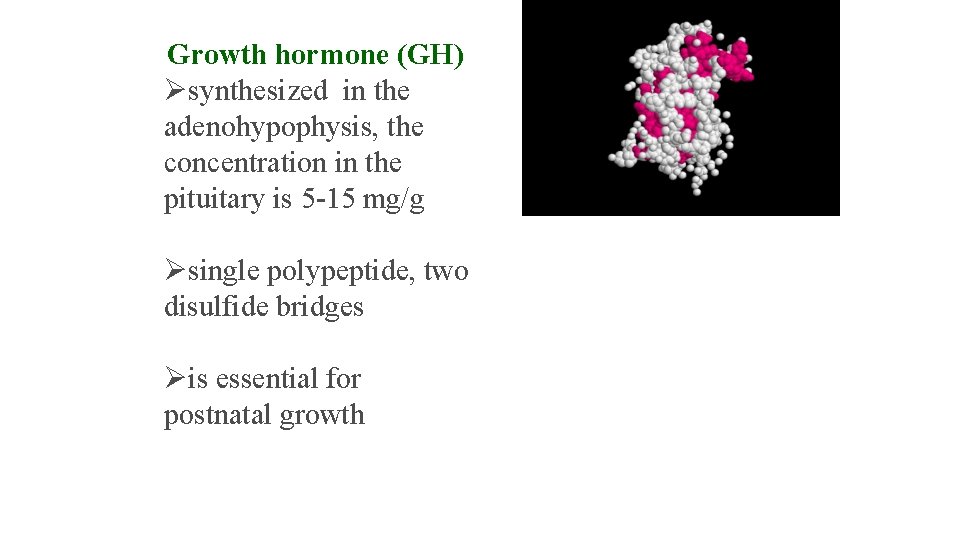 Growth hormone (GH) Øsynthesized in the adenohypophysis, the concentration in the pituitary is 5