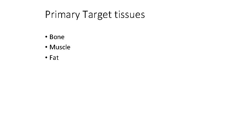 Primary Target tissues • Bone • Muscle • Fat 
