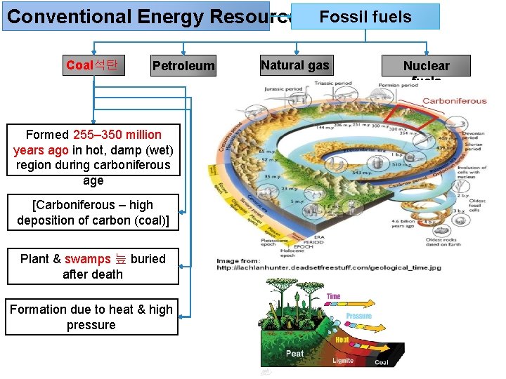 Conventional Energy Resources Fossil fuels Coal석탄 Petroleum Formed 255– 350 million years ago in
