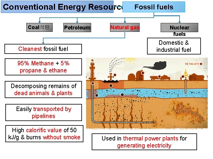 Conventional Energy Resources Fossil fuels Coal석탄 Petroleum Cleanest fossil fuel Natural gas Nuclear fuels