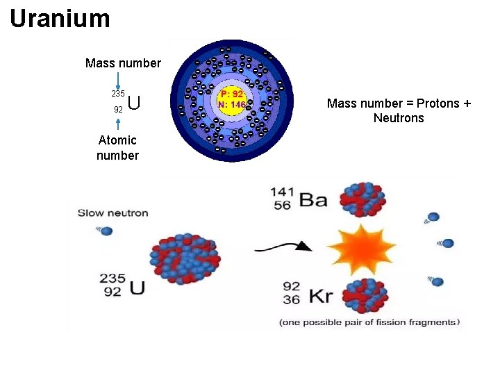 Uranium Mass number 235 92 U Atomic number Mass number = Protons + Neutrons