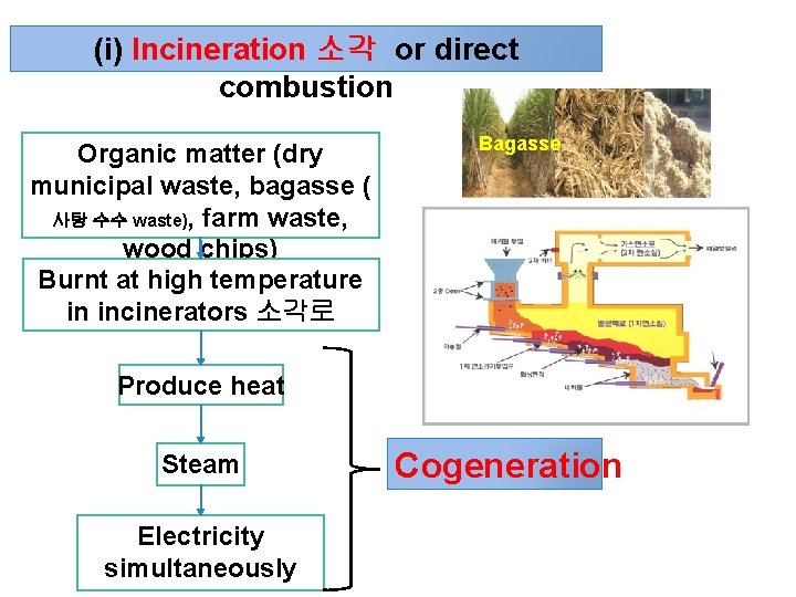 (i) Incineration 소각 or direct combustion Organic matter (dry municipal waste, bagasse ( 사탕