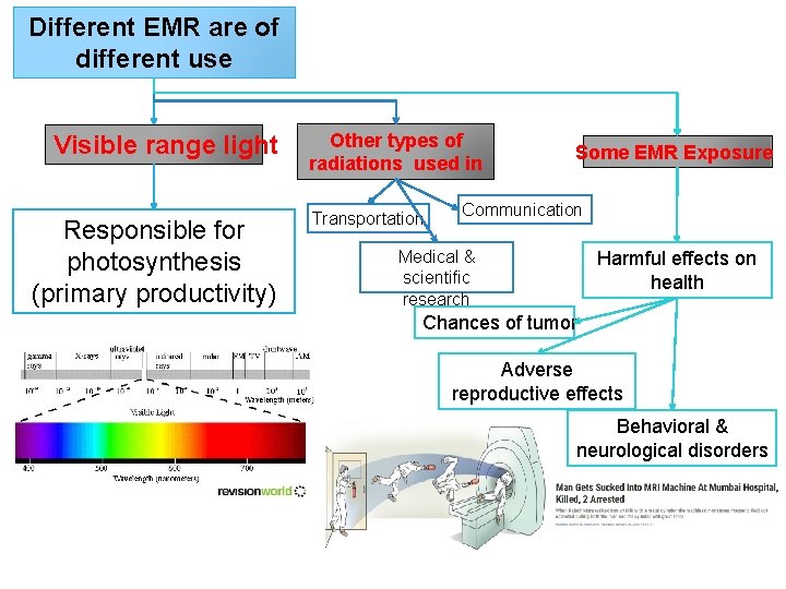 Different EMR are of different use Visible range light Responsible for photosynthesis (primary productivity)