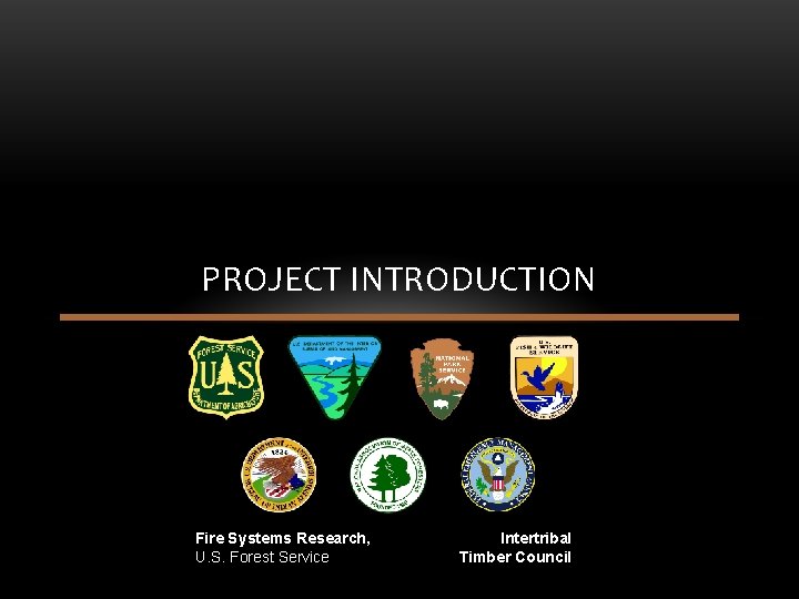 PROJECT INTRODUCTION Fire Systems Research, U. S. Forest Service Intertribal Timber Council PROJECT INTRODUCTION Fire Systems Research, U. S. Forest Service Intertribal Timber Council
