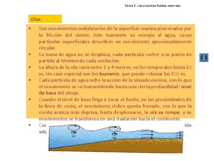 Tema 3. Los sistemas fluidos externos Olas: • • • Son movimientos ondulatorios de