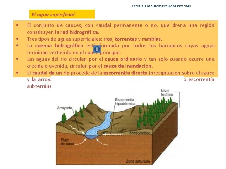 Tema 3. Los sistemas fluidos externos El agua superficial: • • • El conjunto