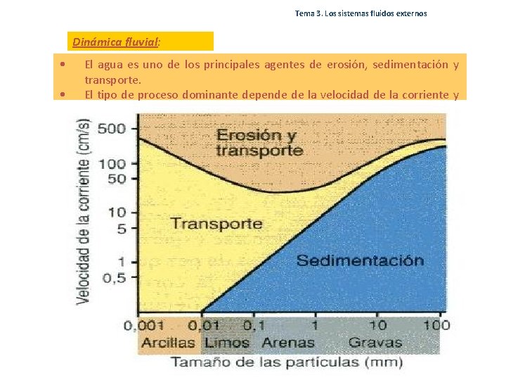 Tema 3. Los sistemas fluidos externos Dinámica fluvial: • • El agua es uno