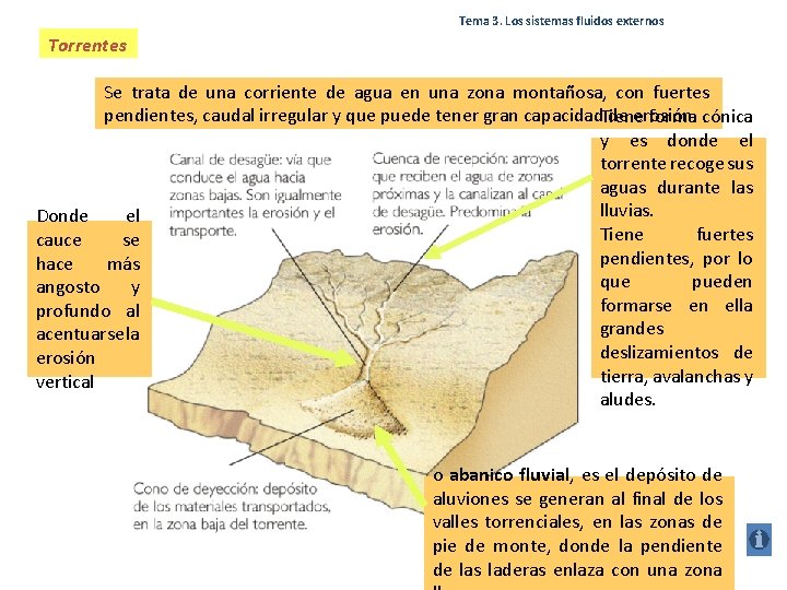 Tema 3. Los sistemas fluidos externos Torrentes Se trata de una corriente de agua