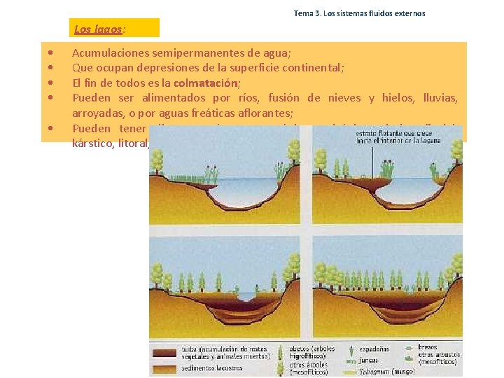 Tema 3. Los sistemas fluidos externos Los lagos: • • • Acumulaciones semipermanentes de