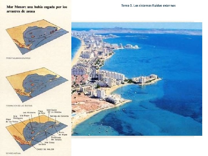 Tema 3. Los sistemas fluidos externos 