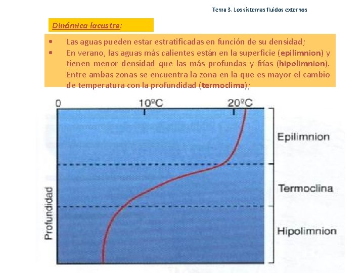 Tema 3. Los sistemas fluidos externos Dinámica lacustre: • • Las aguas pueden estar