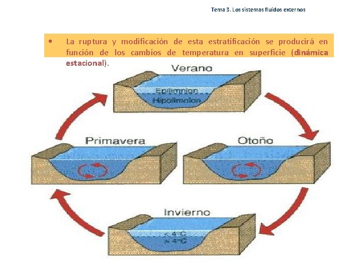 Tema 3. Los sistemas fluidos externos • La ruptura y modificación de esta estratificación