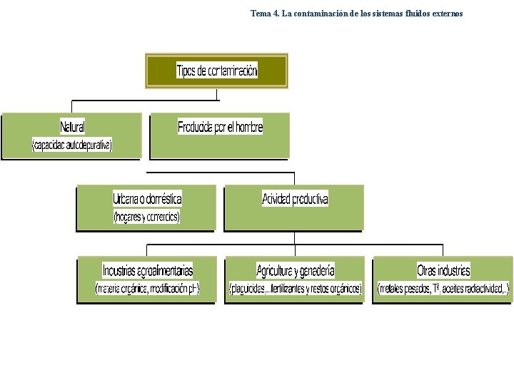 Tema 4. La contaminación de los sistemas fluidos externos 