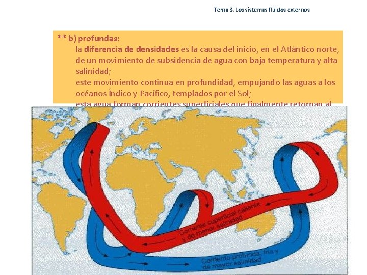 Tema 3. Los sistemas fluidos externos ** b) profundas: la diferencia de densidades es