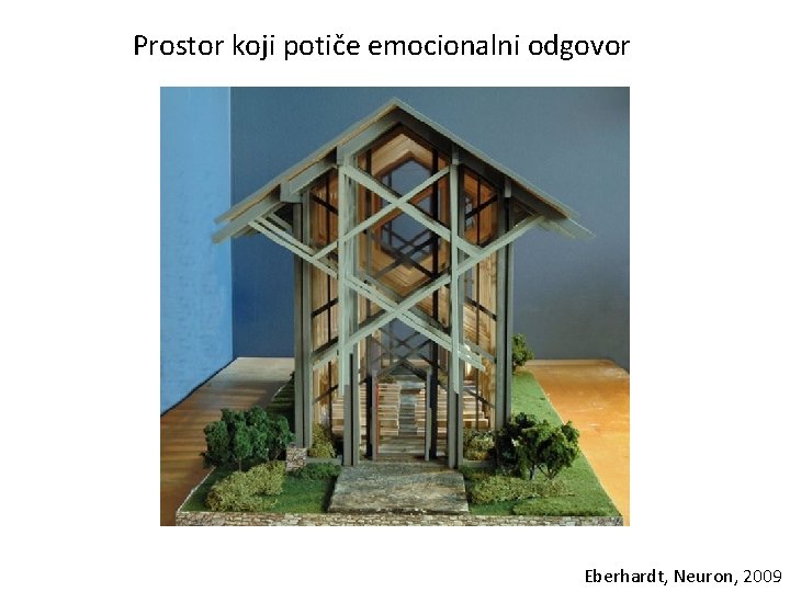 Prostor koji potiče emocionalni odgovor Eberhardt, Neuron, 2009 