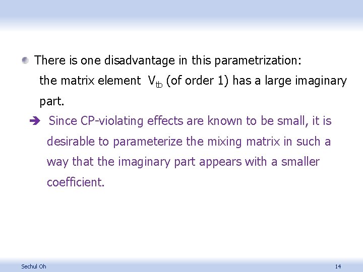 There is one disadvantage in this parametrization: the matrix element Vtb (of order 1)