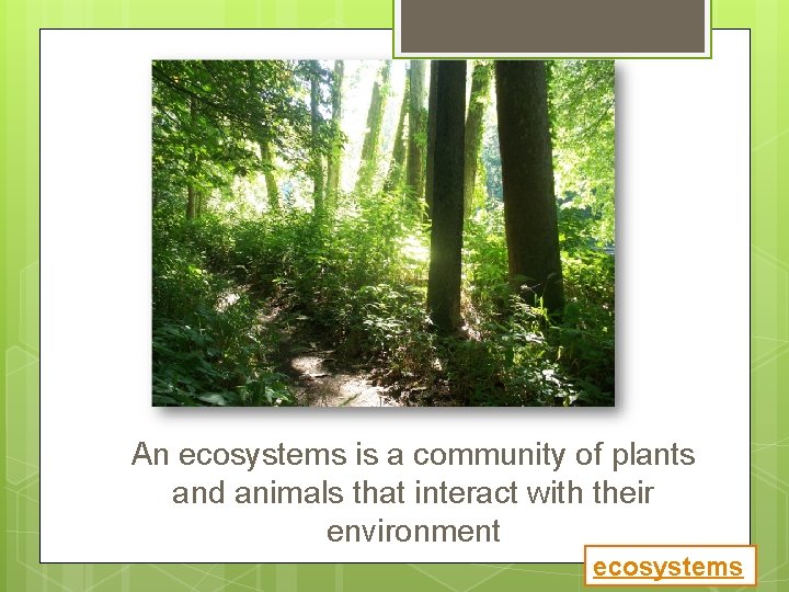 An ecosystems is a community of plants and animals that interact with their environment
