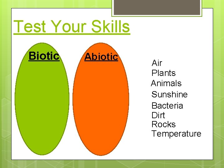 Test Your Skills Biotic Abiotic Air Plants Animals Sunshine Bacteria Dirt Rocks Temperature 