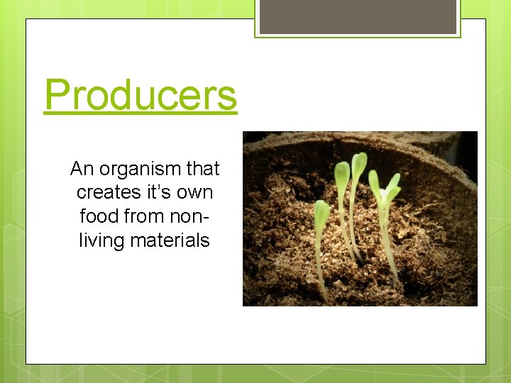 Producers An organism that creates it’s own food from nonliving materials 